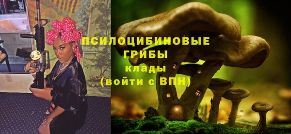хмурый Балабаново