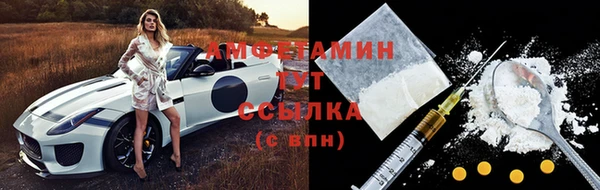 амф Аркадак