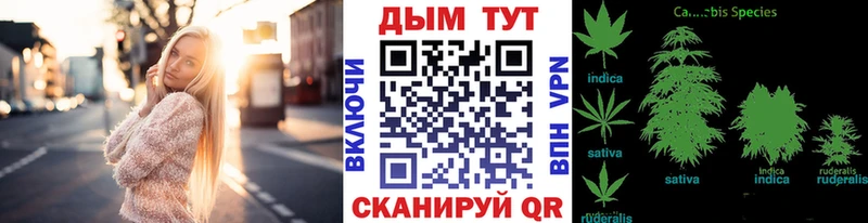закладки  Северо-Курильск  Шишки марихуана тримм 
